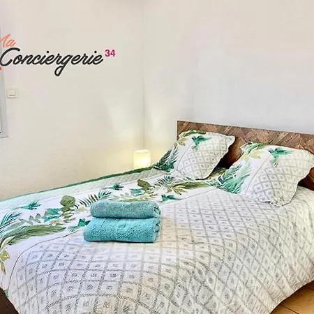 Apartman Beaux Arts T3 Duplex, Renove Lumineux + Garage Montpellier